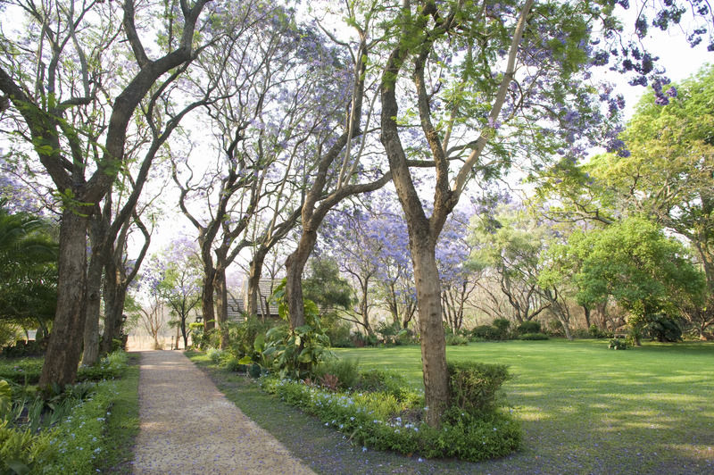 Hotel Nesbitt Castle Bulawayo Zewnętrze zdjęcie
